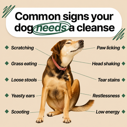 Parasite Cleanse Drops for Dogs – Supports Gut Health and Digestion