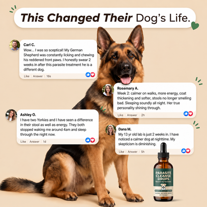 Parasite Cleanse Drops for Dogs – Supports Gut Health and Digestion