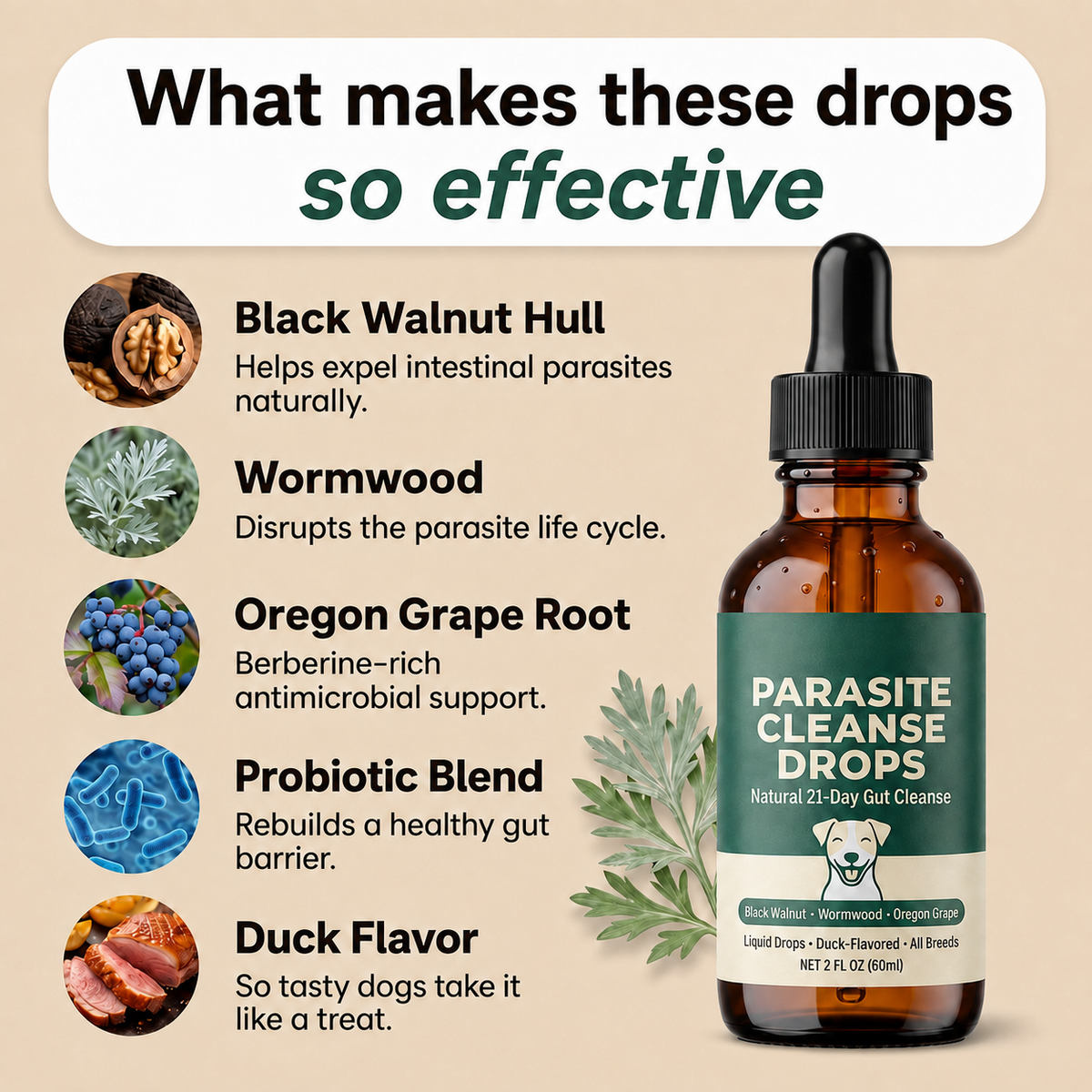 Parasite Cleanse Drops for Dogs – Supports Gut Health and Digestion