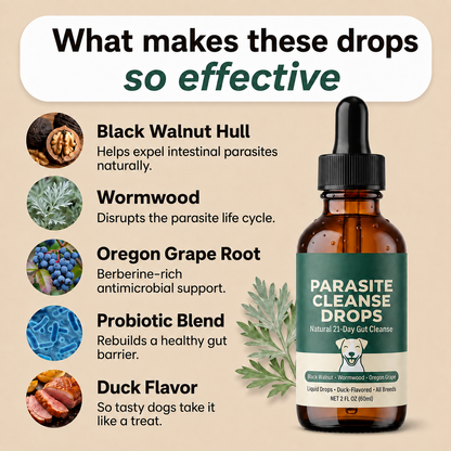 Parasite Cleanse Drops for Dogs – Supports Gut Health and Digestion