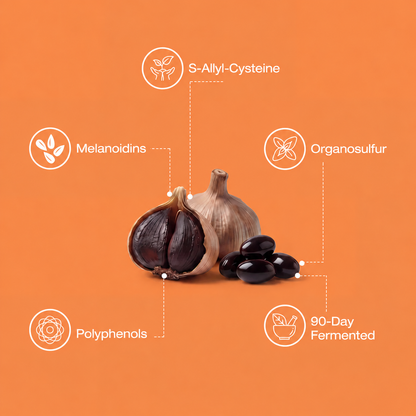 Fermented Black Garlic Extract 6000mg - Daily Wellness Support