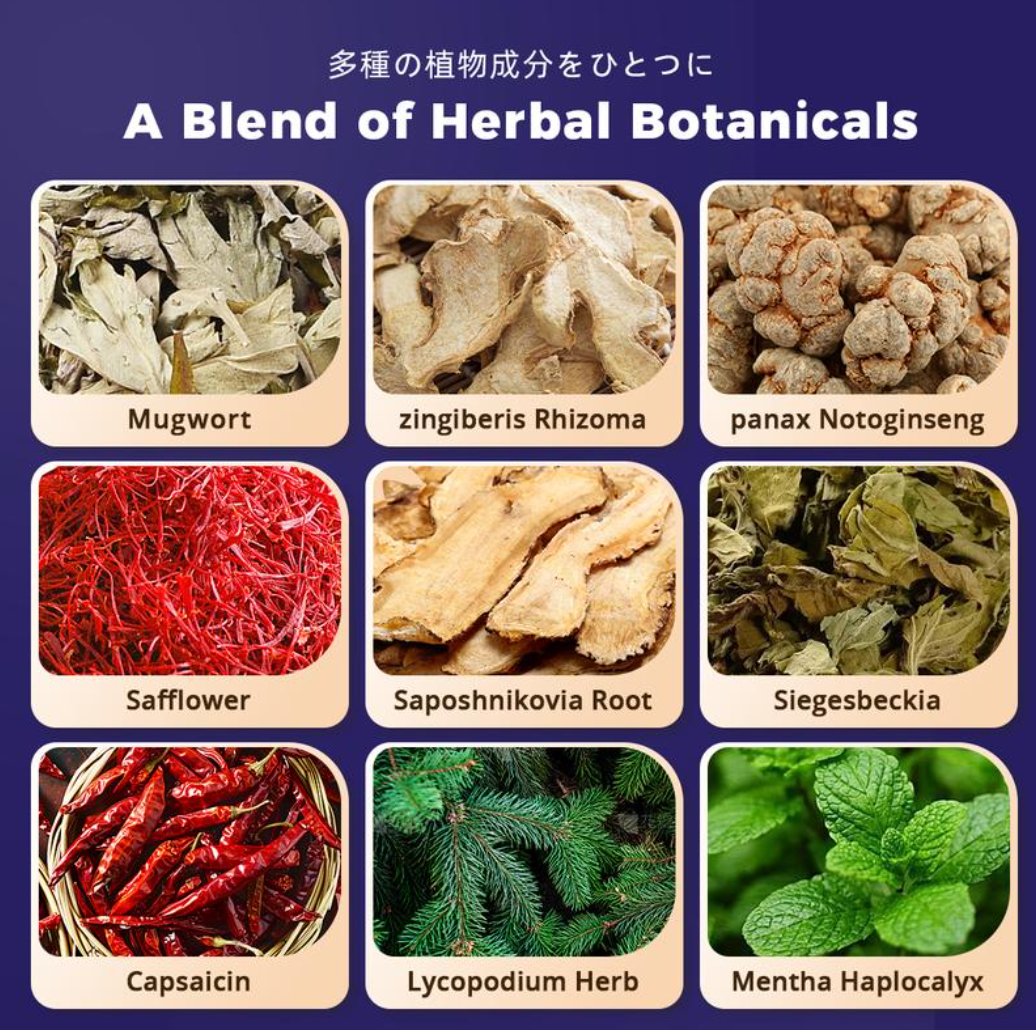 Japanese Herbal Patch & Pain Relief Patch